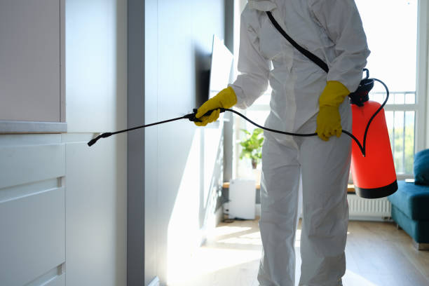 Best Local Mold Removal Service  in Gibsonville, NC