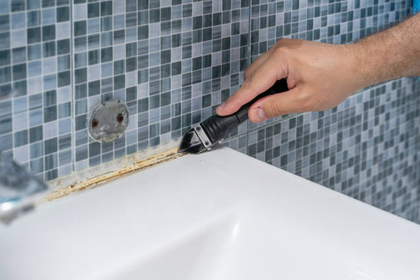  Gibsonville, NC Mold Removal Pros